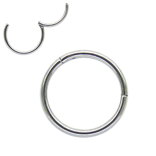 NewkeepsR 1PC-0.8mm(20g) Nose Hoop Seamless Ring, Steel Snap Hinged Clicker Segment Earring Cartilage Helix Piercing-8mm - Image 1
