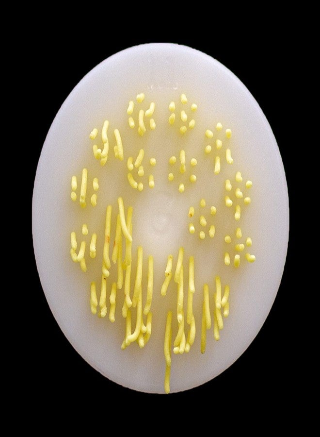 PASTADISC - قرص على شكل معكرونة مناسب لماكينة صنع المعكرونة والنودلز الأوتوماتيكية من فيليبس، ملحق ماكينة صنع المعكرونة من فيليبس، جهاز مطبخ، طقم ملحقات (شعيرية زاوية - نودلز فيتنامية 1.1 مم) - Image 4