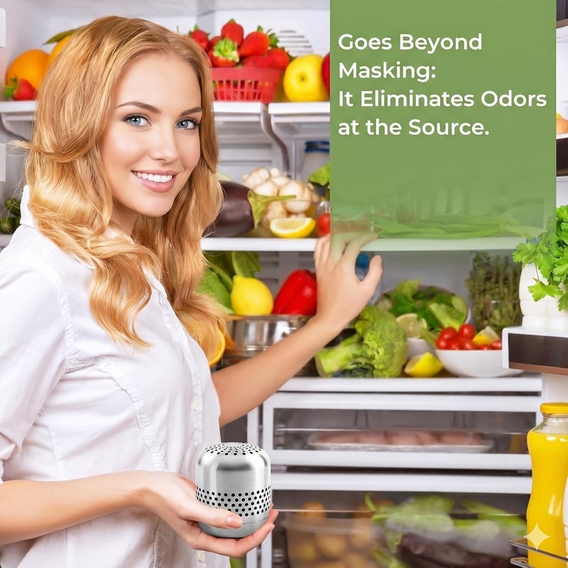 Refrigerator Deodorizer For RV Car Closet Fridge And Freezer No Electricity Needed High Quality Stainless Steel Silvery Odor Eliminator Long Lasting 10 Years - Image 4
