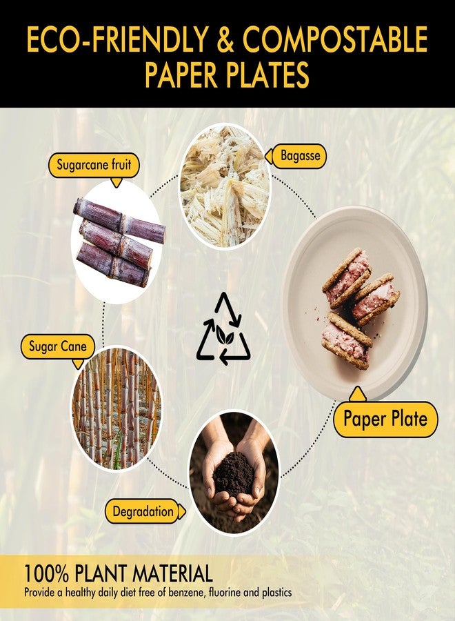 RACETOP Compostable Paper Plates 10 Inch [150 Pack], Disposable Biodegradable Heavy Duty Paper Plates, Made of Natural Sugarcane Fibers, Unbleached Brown, Round - Image 4