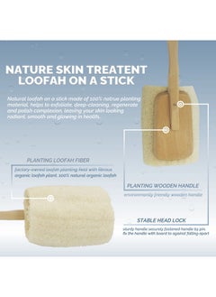 Bleu Bath (1 Pack) Exfoliating Loofah Back Brush In 100% Natural And Organic Luffa Loofa With Long Wooden Handle Fixed Scrubber Brush For Men And Women Or Even Sensitive Skin  - Image 5