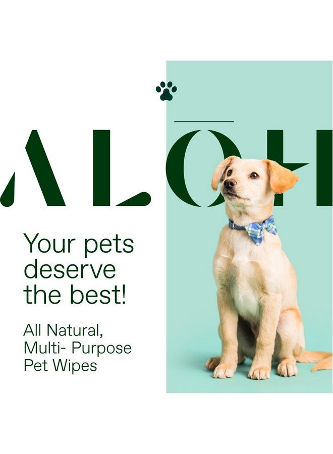 alo Al?H Hypoallergenic | AllNatural | MultiPurpose Pet Wipes. Lavender + Wild Mint 50Ct Wipes - Image 3