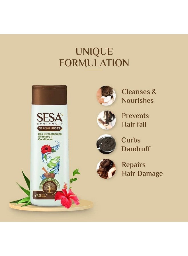 سيسا مجموعة العناية بالشعر الأيورفيدي Strong Roots مع زيت تقوية الشعر (200 مل) والشامبو والبلسم (200 مل) للرجال والنساء | خالية من البارابين - Image 5
