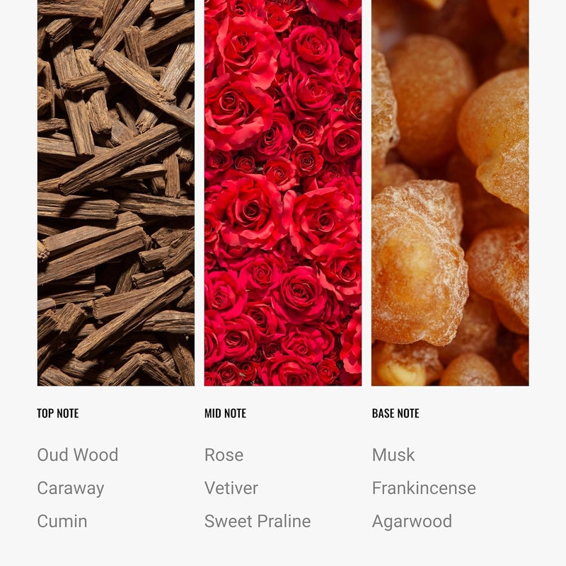 AROMA360 Hotel Collection Diffuser Oil - Desert Rose - Aromatherapy Essential Fragrance Oil - Floral Rose, Sweet Praline, Wood & Vetiver - 120mL 4.1 Fl oz - Image 3