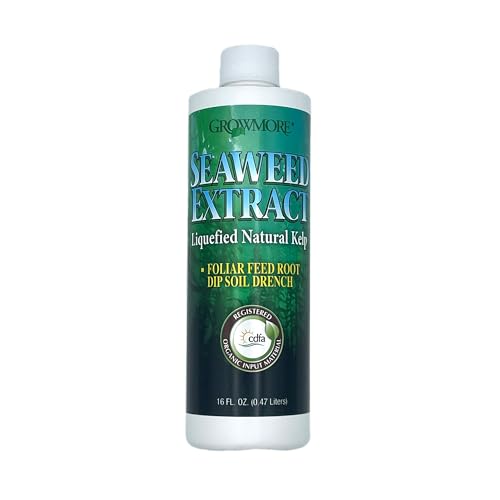 Grow More Liquified Seaweed Extract Fertilizer for Plants - 16oz of Liquefied Natural Liquid Kelp Fertilizer - 11% Organic Kelp Plant Food for Transplant Protection & Root Development - Image 1