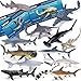 KarberDark 13 Pack Shark Toys Set with Booklet and Gift Box Realistic Plastic Shark Figurines Sea Creature Toy for Kid Shark Party Decoration Cake Topper Educational Ocean Animals for Toddlers Boys Girls - Image 2