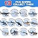 KarberDark 13 Pack Shark Toys Set with Booklet and Gift Box Realistic Plastic Shark Figurines Sea Creature Toy for Kid Shark Party Decoration Cake Topper Educational Ocean Animals for Toddlers Boys Girls - Image 4