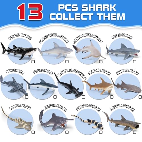 KarberDark 13 Pack Shark Toys Set with Booklet and Gift Box Realistic Plastic Shark Figurines Sea Creature Toy for Kid Shark Party Decoration Cake Topper Educational Ocean Animals for Toddlers Boys Girls - Image 5