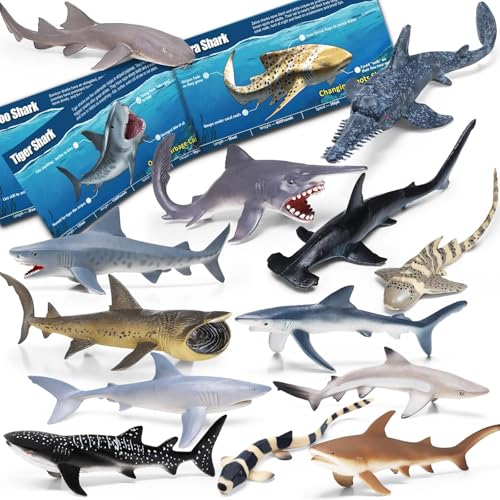 KarberDark 13 Pack Shark Toys Set with Booklet and Gift Box Realistic Plastic Shark Figurines Sea Creature Toy for Kid Shark Party Decoration Cake Topper Educational Ocean Animals for Toddlers Boys Girls - Image 1