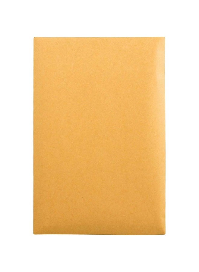 Redistrip Envelope Plain 28 Lbs. 6 X 9 Inches 100 Per Box Kraft (Qua44162) Brown Kraft - pzsku/Z109C12BF420EF5FE5F09Z/45/_/1720702015/f2d6585c-ebf5-45a0-84d8-af006470ddd4