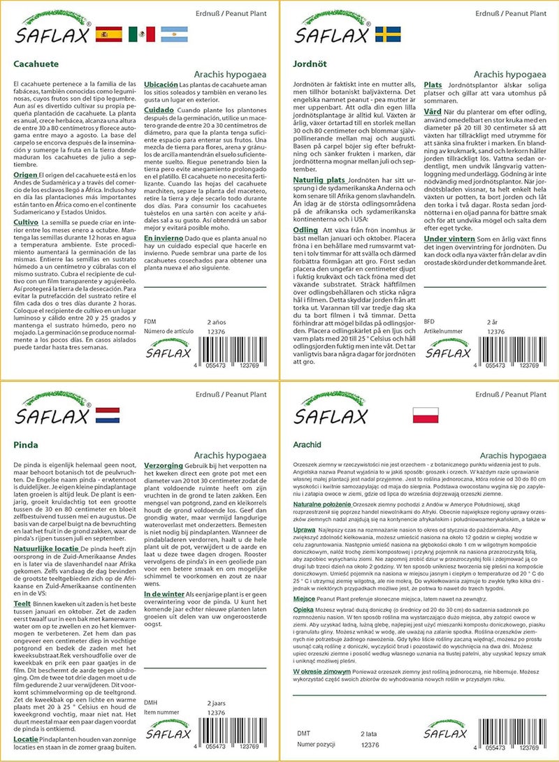 GGOOT Garden in The Bag - Peanut Plant - 8 Seeds - Arachis hypogaea - Image 4