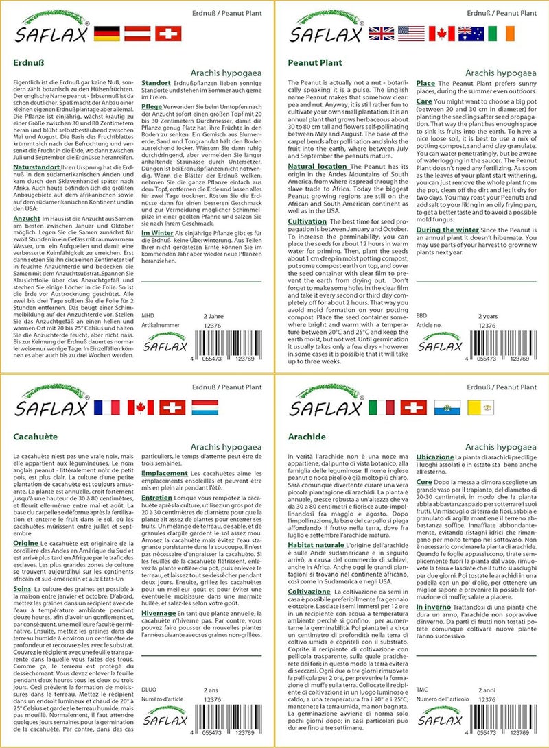 GGOOT Garden in The Bag - Peanut Plant - 8 Seeds - Arachis hypogaea - Image 3