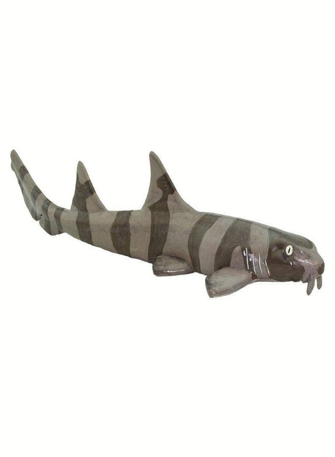 Safari Ltd. Bamboo Shark Figurine - Realistic 5.25" Sea Life Figure - Educational Toy for Boys, Girls and Kids Ages 3+ - Image 4