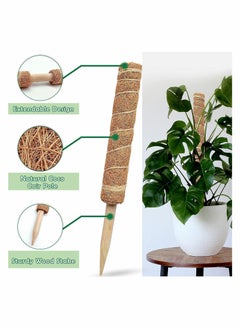 Y&D Moss Pole - 26 Inch for Plants Monstera, 2 Pack 15.4 Inches Coco Plant  - Image 3