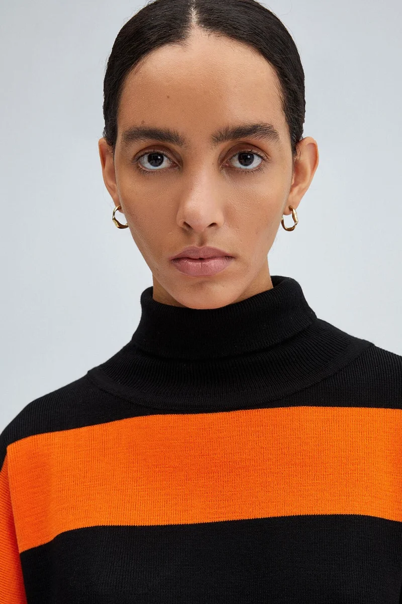 Touche Turtleneck Striped Sweater