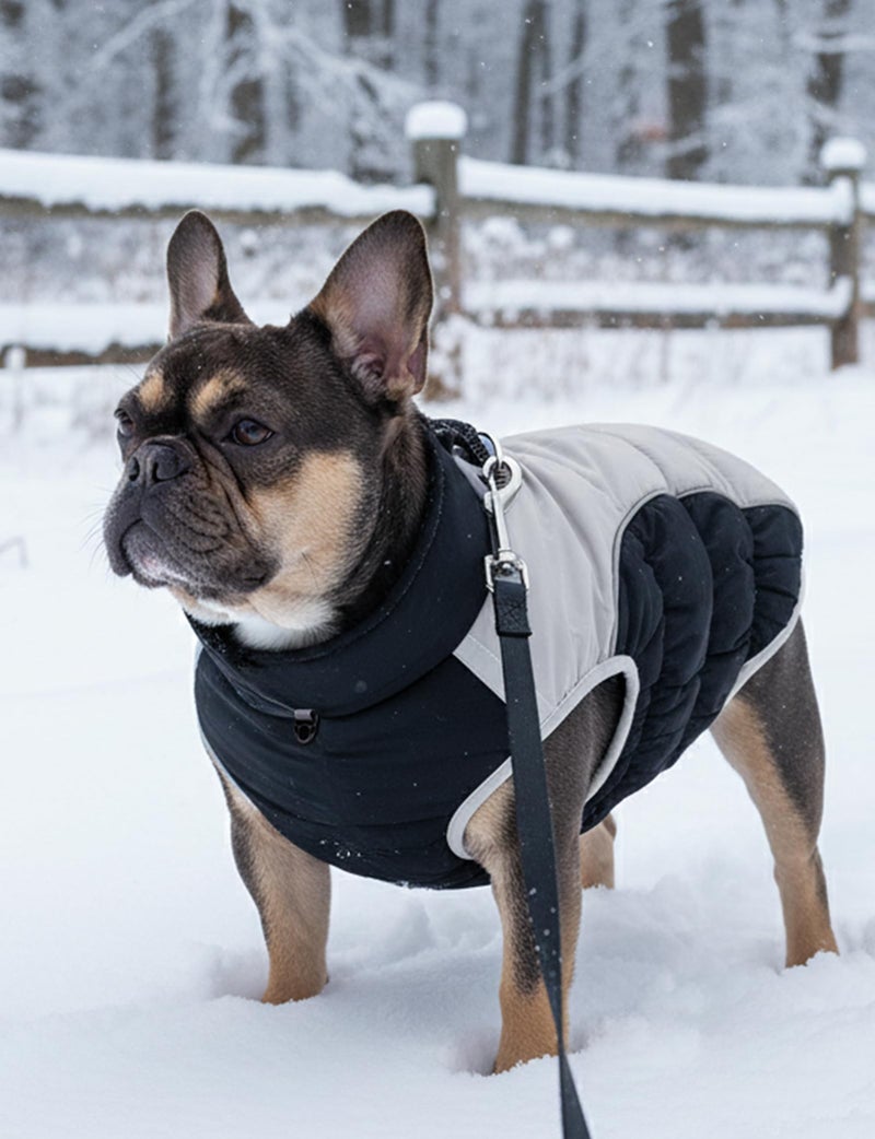 AURUZA Dog Coat, Warm Dog Winter Coat Waterproof Small Dogs Jacket with Harness Built Reflective Pet Vest with Zipper for Medium Dogs Windproof Pet Fleece Puffer Vest Snow Jacket for Cold Weather - Image 3