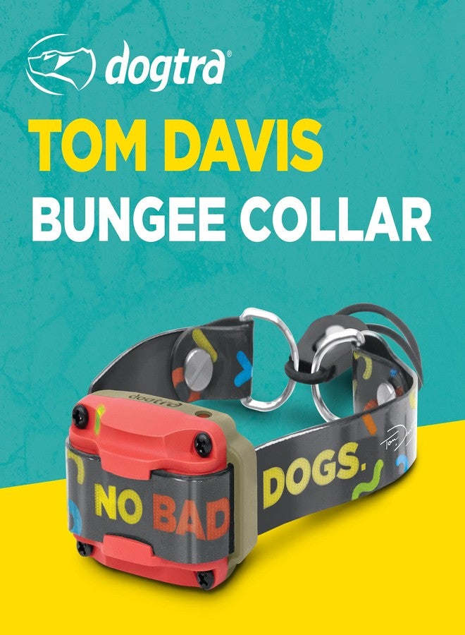 Dogtra Tom Davis Bungee Collar Comfortable Easy Fit Compatible with Tom Davis Edition 280C Dog Training E-Collar 3/4" Inch Strap Receivers - Image 2