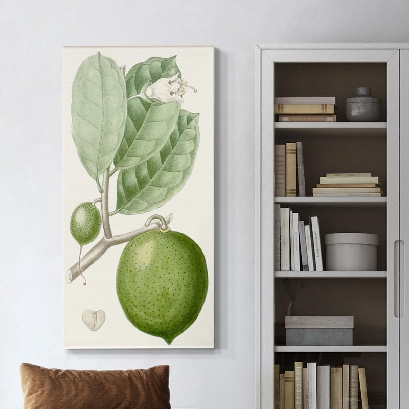 EMODA Turpin Green Citrus Fruits Wall Art – Abstract Canvas Prints (30x60 cm Framed) - Image 1