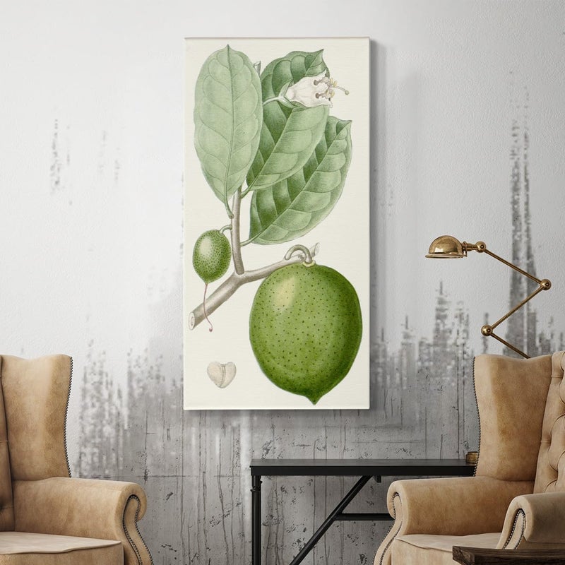 EMODA Turpin Green Citrus Fruits Wall Art – Abstract Canvas Prints (30x60 cm Framed) - Image 3