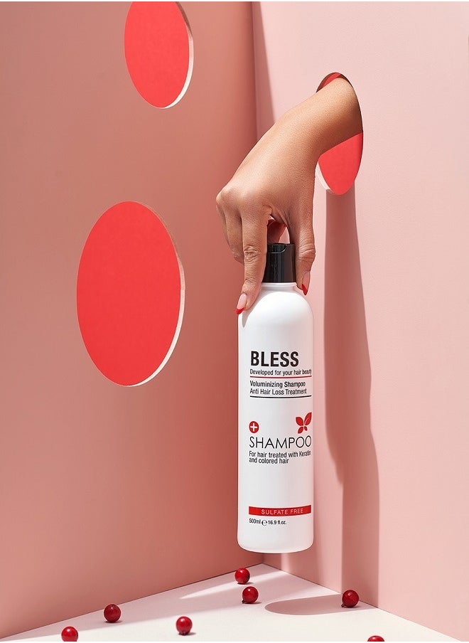 Bless Sulfate Free Shampoo For hair treated with keratin and colored hair 500ml  - Image 3