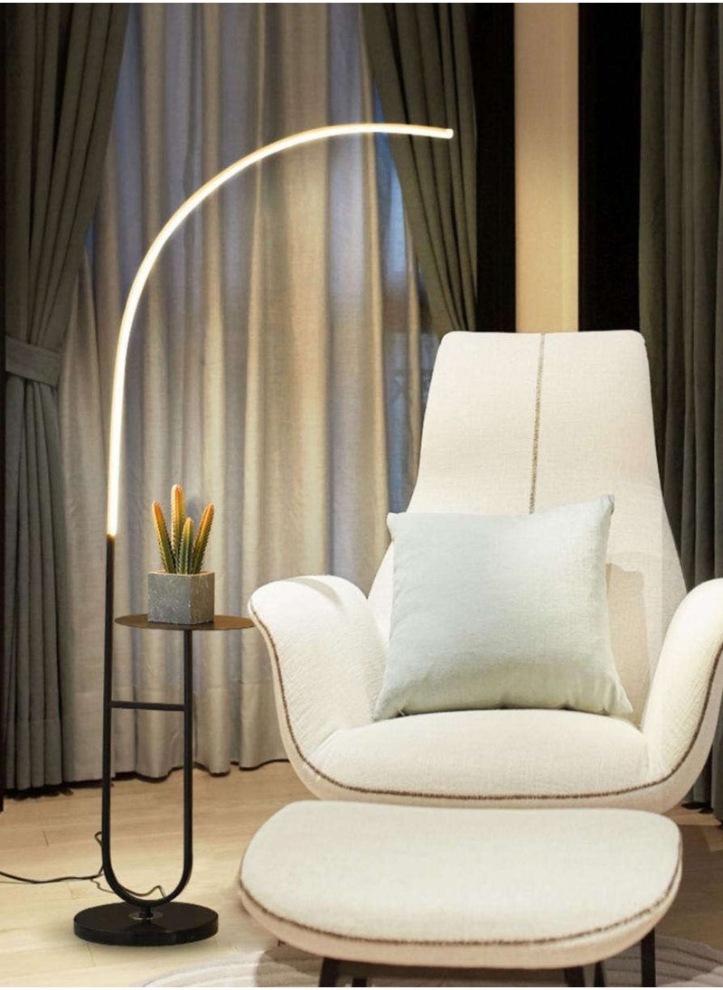 Onelight Stepless Dimming Floor Lamp With Remote Control  - Image 1