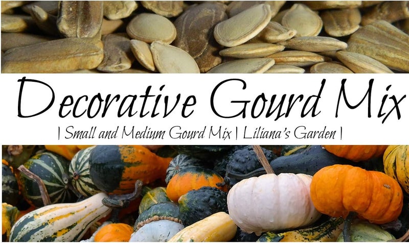 Small and Medium Gourd Seeds – 7+ Varieties/Packet – Warted Smooth Striped Daisy and More | Cucurbita Pepo | Never GMO Always Heirloom | USA Grown Seeds by  | - Image 1