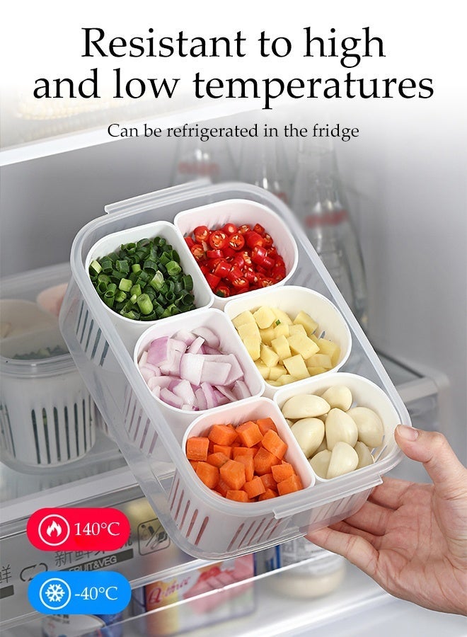 DUNISO Portable Food Storage Containers with Lids,6 Grids  Divided Storage Box,Fresh-keeping Boxes with Drain Baskets, Organizer Bins for Scallion, ginger and garlic - Image 4