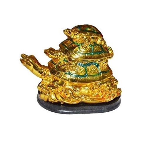 GJ Three Tortoise Multicolour - Image 4