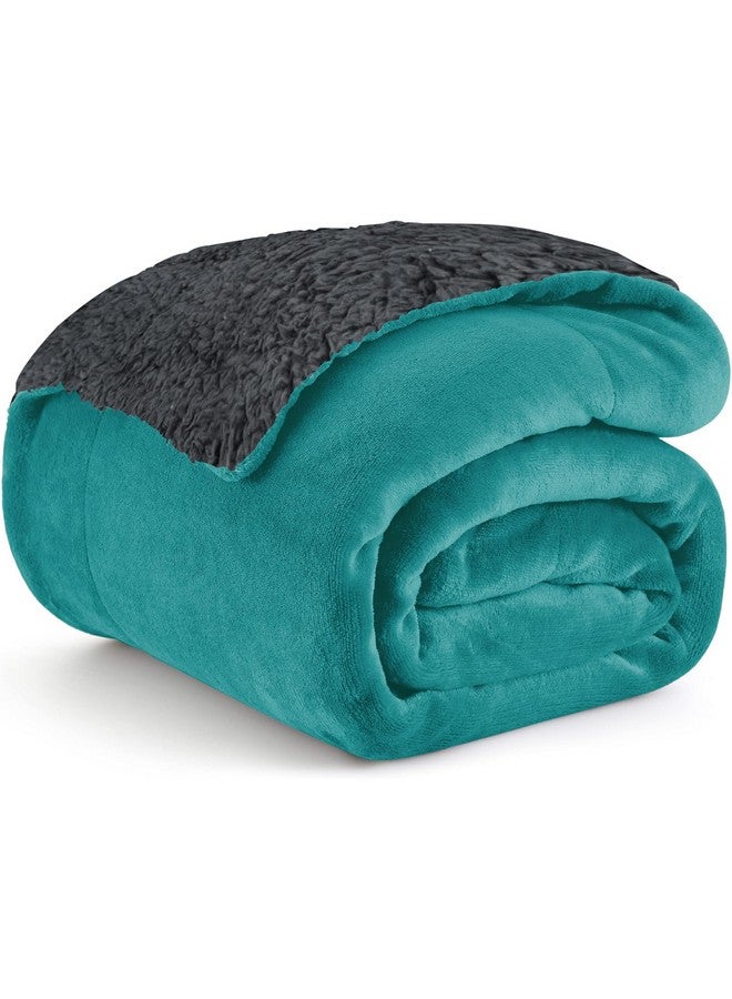 Homestan Homestan Sherpa Fleece AC Blanket Double Bed 220GSM, Ultra Soft King Size Blanket for Summer 88x90 inches (Teal, Double) - Image 1