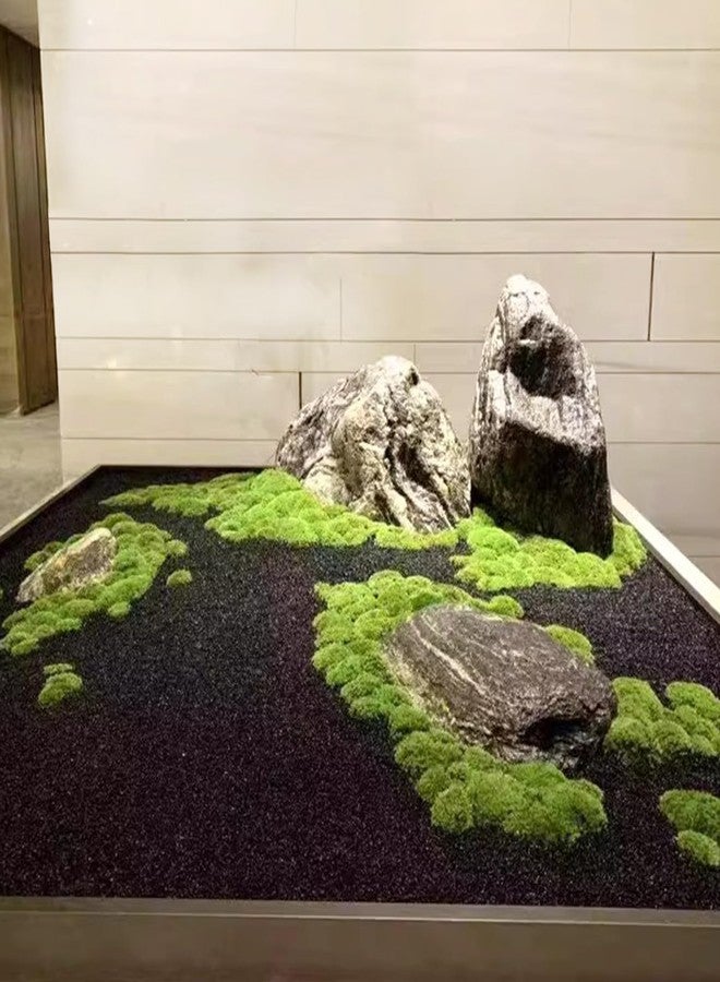 FANTIAN رمل سيليكا أسود لأحواض السمك من فانتيان، وزن 5 أرطال. رمل زينة لأحواض السمك، مناسب للأسماك، والنباتات المزروعة في أصص، وحفر النار، والشموع، وتزيين المزهريات، والأعمال اليدوية. - Image 4