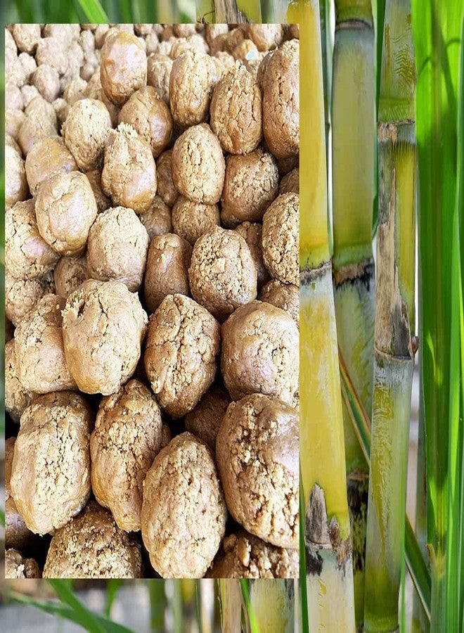 BANDHAL Jaggery cubes/Cube/Block/Bheli Deshi Gur (Gud) 1 Kg.Sugarcane Jaggery Natural Sweetener Chemicals Free Sharkkara केमिकल रहीत गुड़ - Image 1