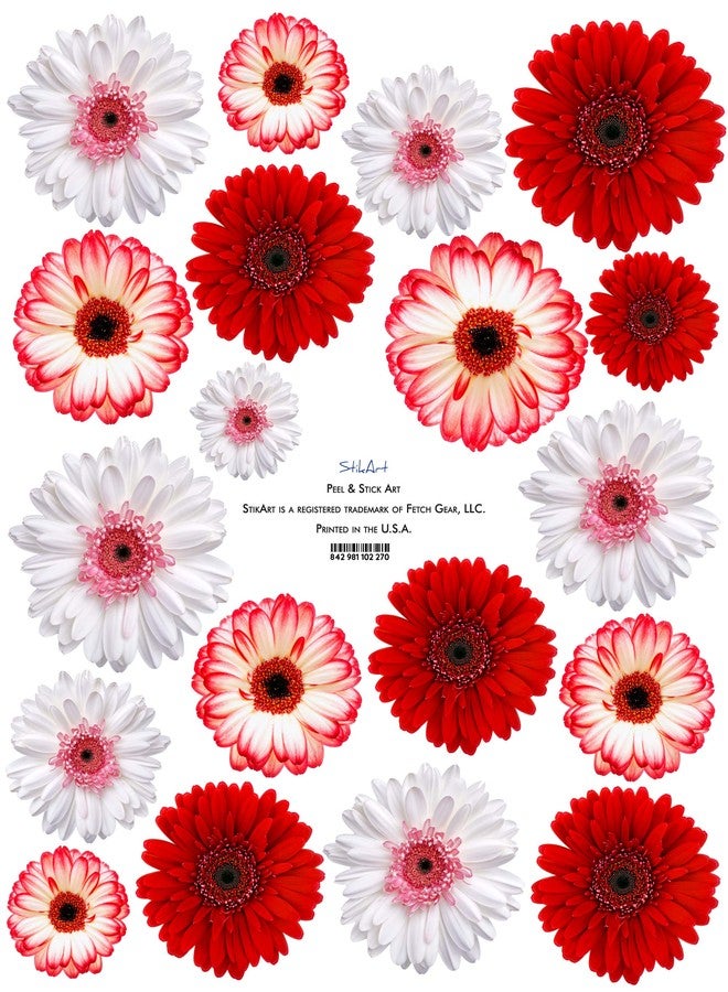 StikArt Removable Gerber Daisy Wall Decals Printed on Waterproof Canvas (19 Red & White Flowers) - Image 5