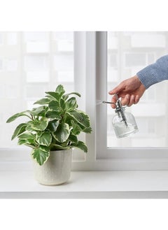 Happy Home 2pcs Plant Spray or Plant Mist for Wetting the Leaves of Houseplants 500ml  - Image 3