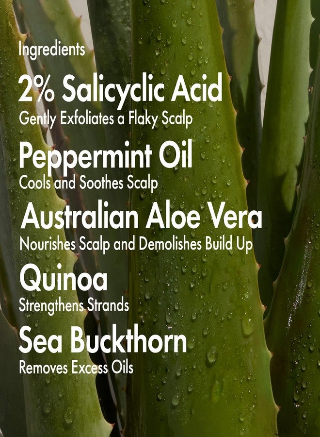 BONDIBOOST Anti-Dandruff Repair Shampoo; Soothe and Revitalize Your Scalp - Relief for Itchy, Flaky, and Irritated Scalp, Promotes Healthy Hair and Long-Lasting Comfort - Image 3