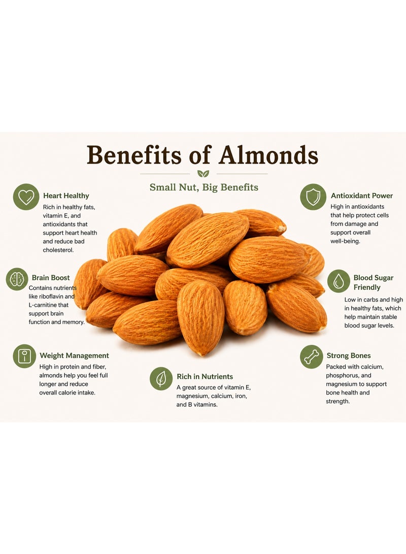 لوز طبيعي خام غير محمص 500 جم | Almonds Raw Premium Quality | مكسرات فاخرة طازجة غنية بالبروتين والألياف والدهون الصحية | سناك صحي للدايت والرياضة والحلويات والمخبوزات - Image 4