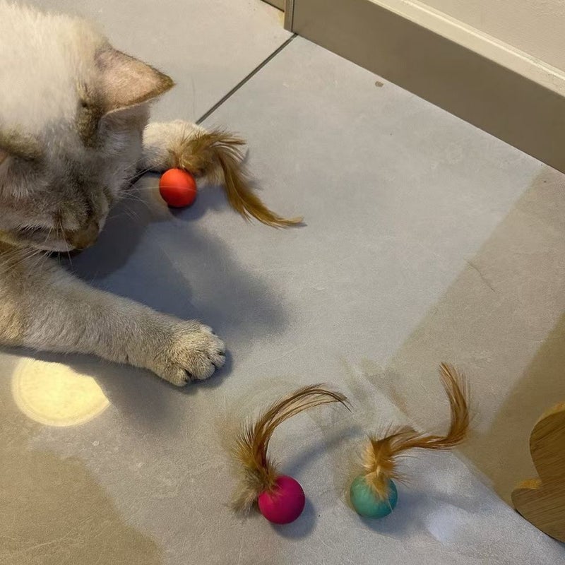 Set Of 6Pcs Cat Solid Feather Elastic Balls Artificial Feather Realistic Feather Design Interactive Cat Toy For Dogs And Cats Self Amusement Wear Resistant Bite Resistant - Image 5