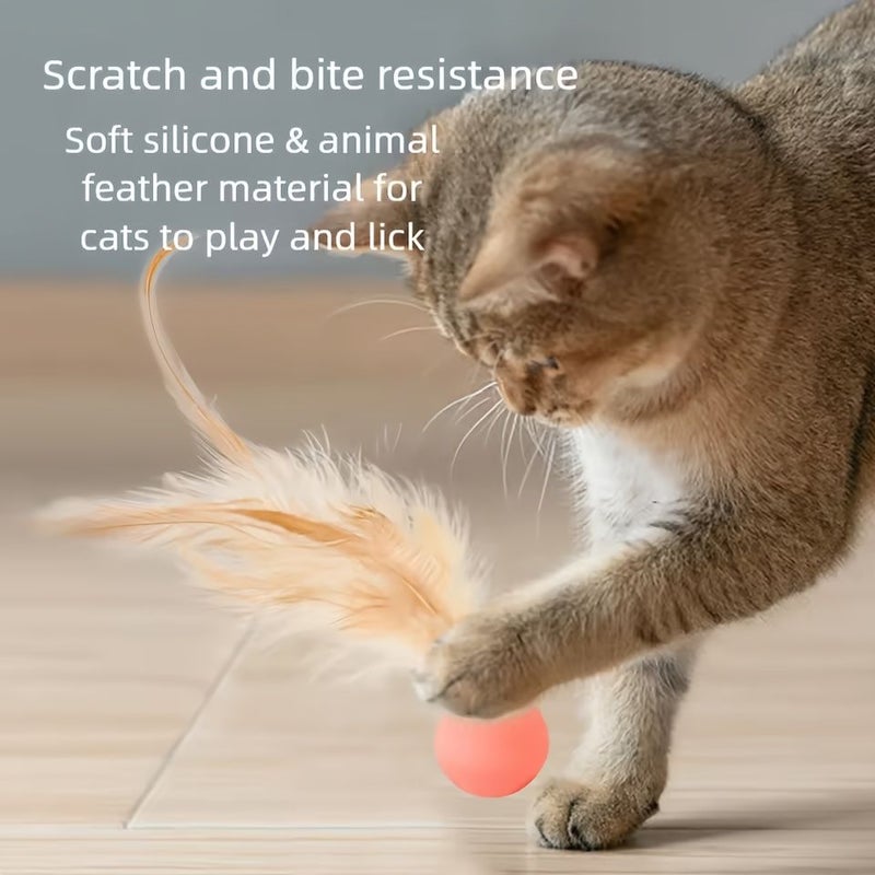 Set Of 6Pcs Cat Solid Feather Elastic Balls Artificial Feather Realistic Feather Design Interactive Cat Toy For Dogs And Cats Self Amusement Wear Resistant Bite Resistant - Image 2