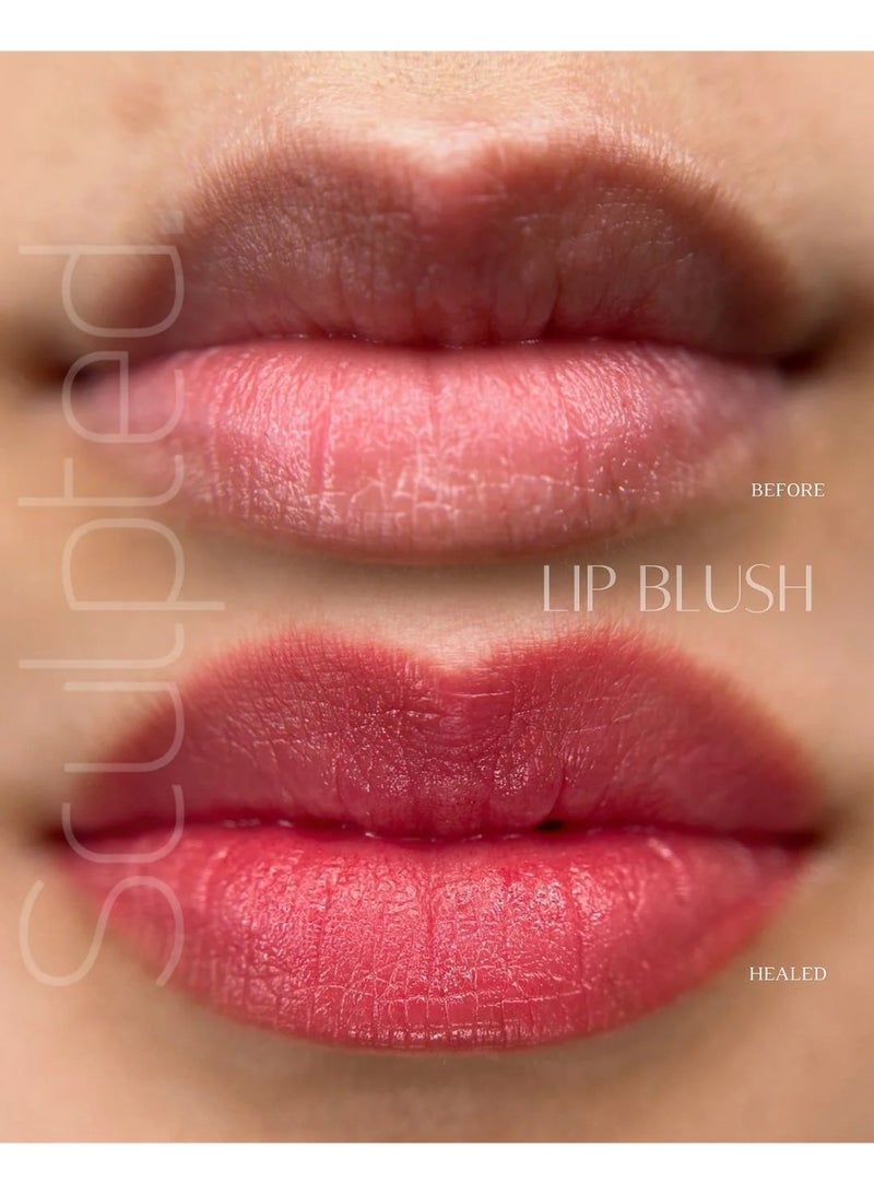 Perma Blend Lip Pigment – Perma Blend Luxe (Carla Ricciardone Embody) Base-4 15ml | Professional Permanent Makeup Lip Blush Tattoo Ink | High Retention, Vegan, True-to-Tone Healing Semi-Permanent Lip Color | SKU: LXCB41/2-S - Image 3