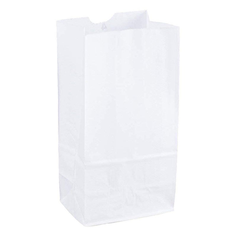 4lb White Kraft Paper Bags Pack of 100ct