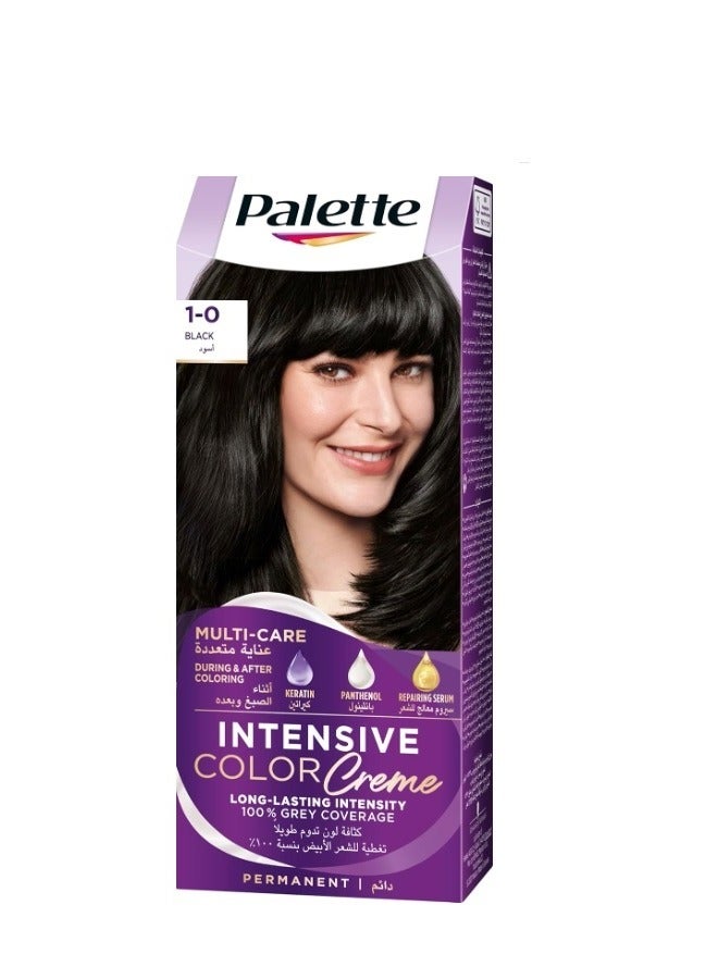 Palette Intensive Color Creme 1 - 0 Black - 110 ML