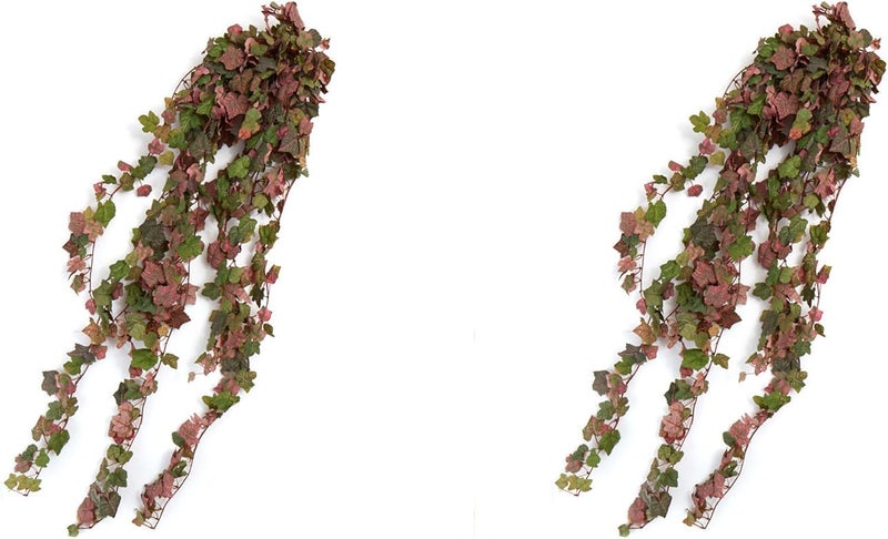 Colorful Draping Grape Leaf Bushes | 2 Greenery Bushes