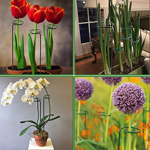 RAIKEDR Plant Stake Support - 6 Pack, Garden Single Stem Support Stake Plant Cage Support Rings, Single Stem Plant Support Stakes, Plant Twist Ties, for Flowers Amaryllis Tomatoes Peony Lily Rose (15.9 inch) - Image 5