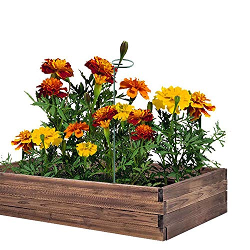 RAIKEDR Plant Stake Support - 6 Pack, Garden Single Stem Support Stake Plant Cage Support Rings, Single Stem Plant Support Stakes, Plant Twist Ties, for Flowers Amaryllis Tomatoes Peony Lily Rose (15.9 inch) - Image 4