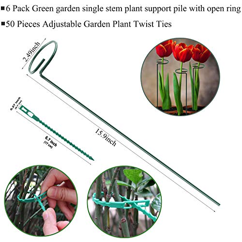 RAIKEDR Plant Stake Support - 6 Pack, Garden Single Stem Support Stake Plant Cage Support Rings, Single Stem Plant Support Stakes, Plant Twist Ties, for Flowers Amaryllis Tomatoes Peony Lily Rose (15.9 inch) - Image 2