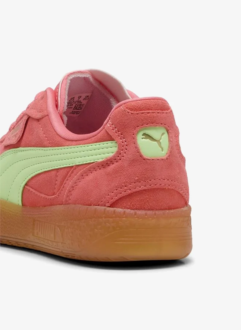 Puma  Palermo Moda Xtra Gum Sneakers Women for Women | Best Price UAE