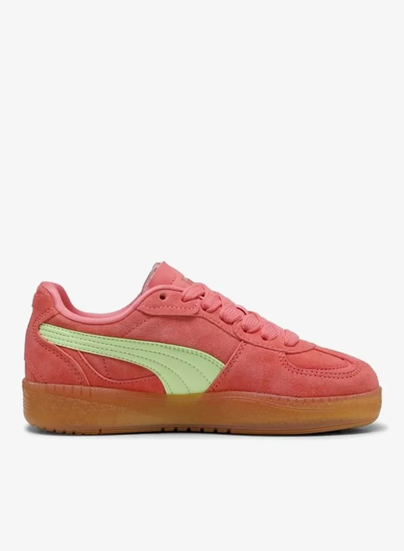 Puma  Palermo Moda Xtra Gum Sneakers Women for Women | Best Price UAE