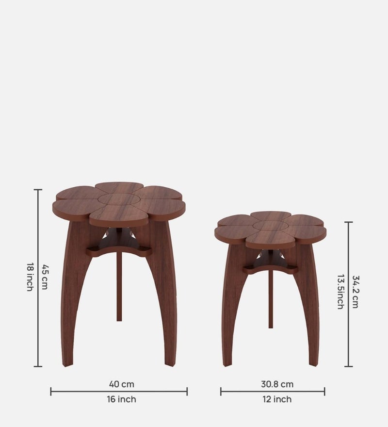Raytrees Engineered Flower Shaped End Table for Living| Drawing Room | Wooden Peg Table | Corner Sofa Side Table with Magazine & Newspaper Storage | Walnut (Modern-P) (RT-K) - Image 2