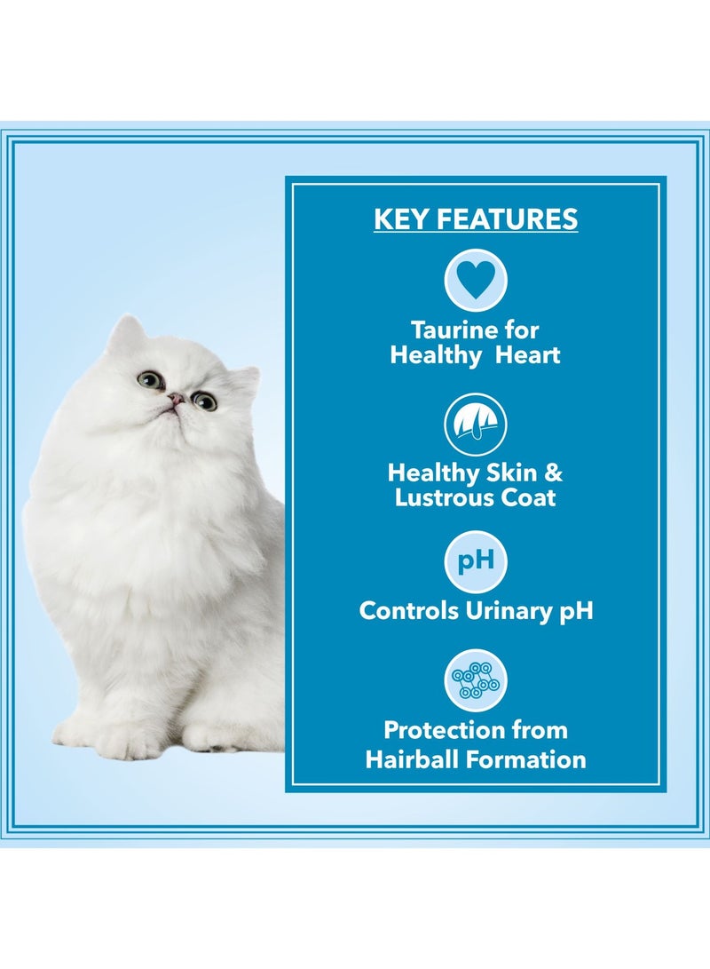 Let's Bite Active Persian Adult Dry Cat Food  Ocean Fish - Image 3