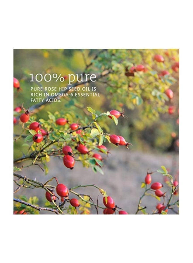 now Rose Hip Seed Oil 30ml - Image 2