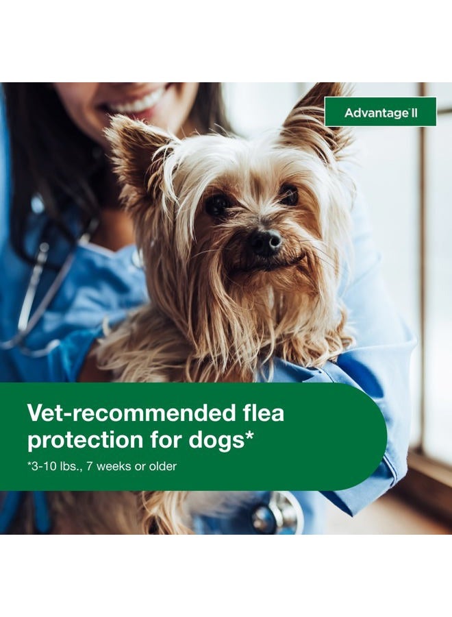Advantage Bayer II Topical Flea Treatment Dogs - Image 5